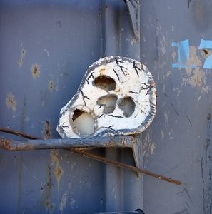 Meet your Posher, Alexander